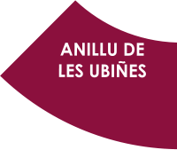 ANILLU DE LES UBIÑES